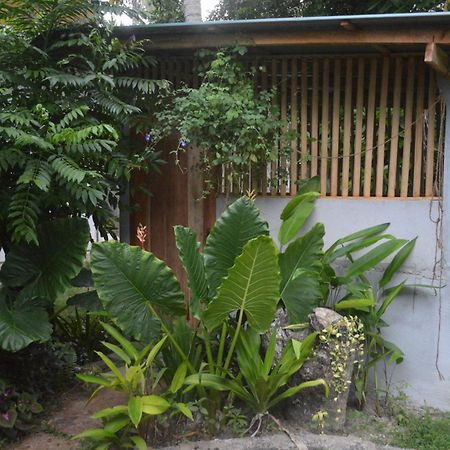 Coconut Grove - Midigama Midigama East Exterior foto