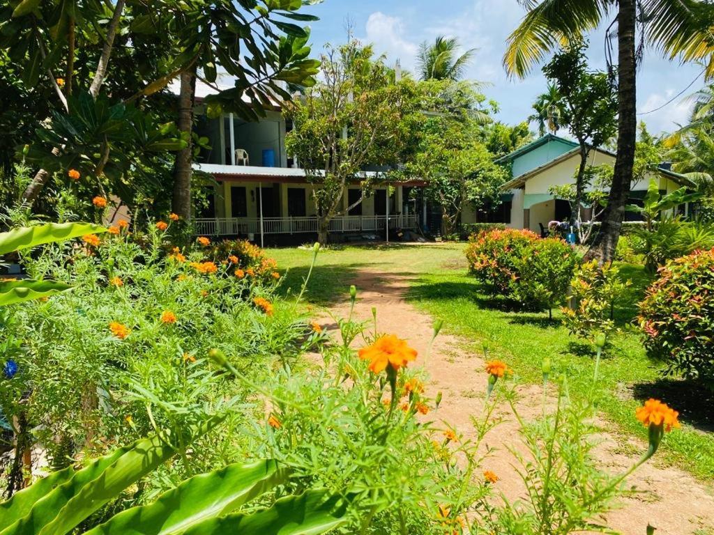 Coconut Grove - Midigama Midigama East Exterior foto
