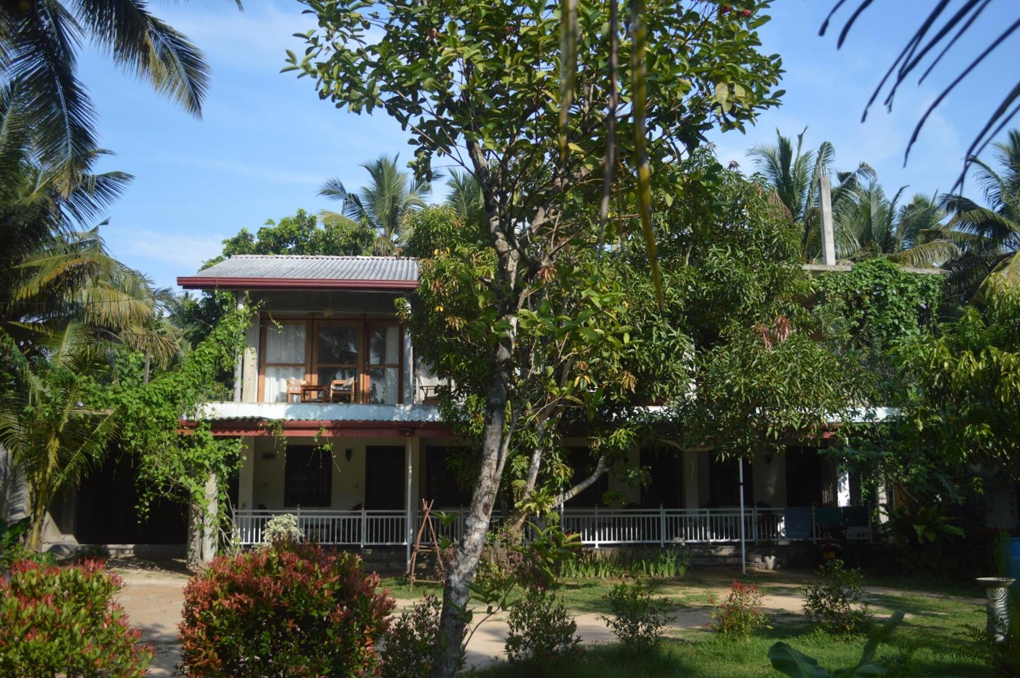 Coconut Grove - Midigama Midigama East Exterior foto