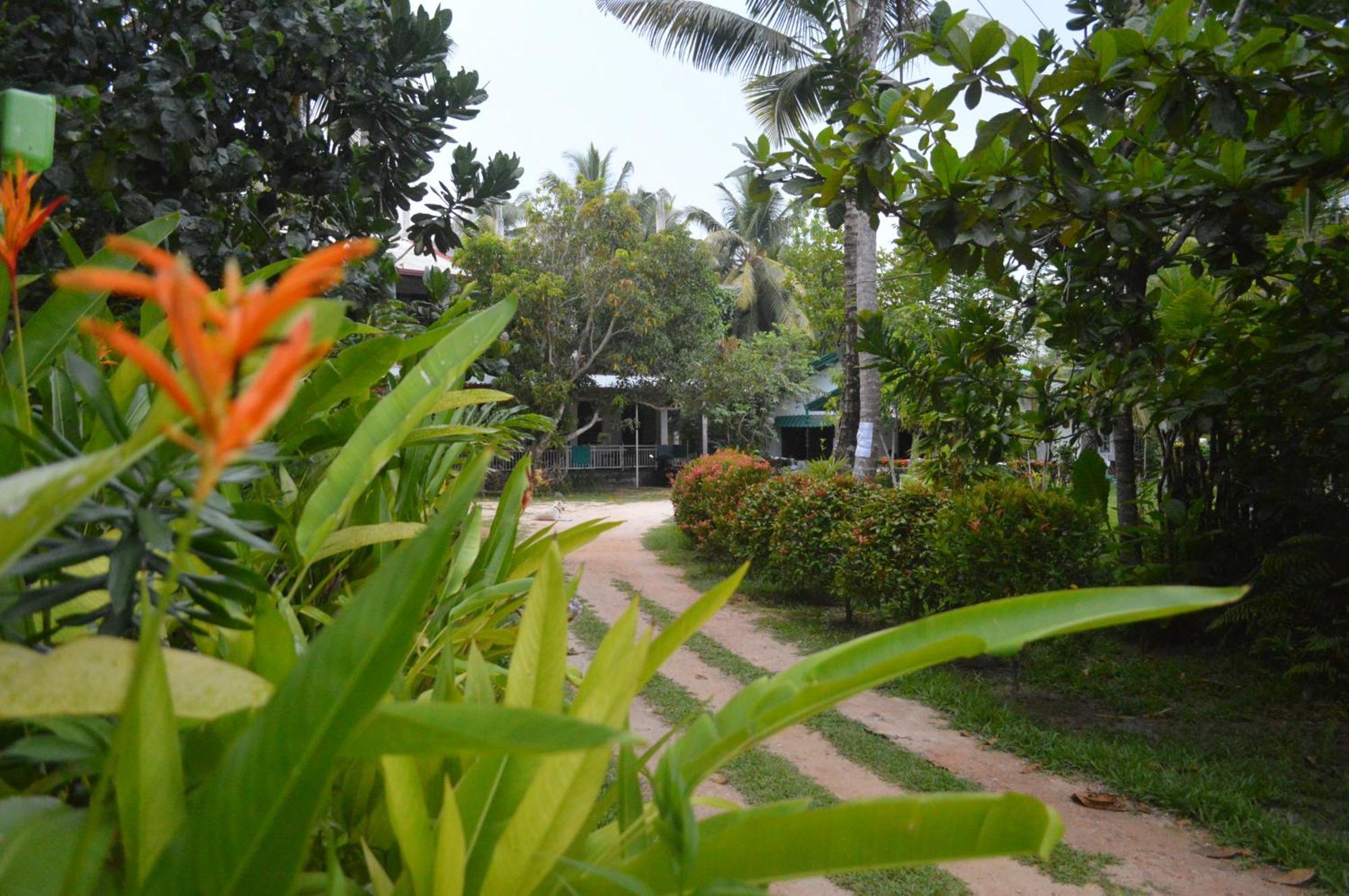 Coconut Grove - Midigama Midigama East Exterior foto