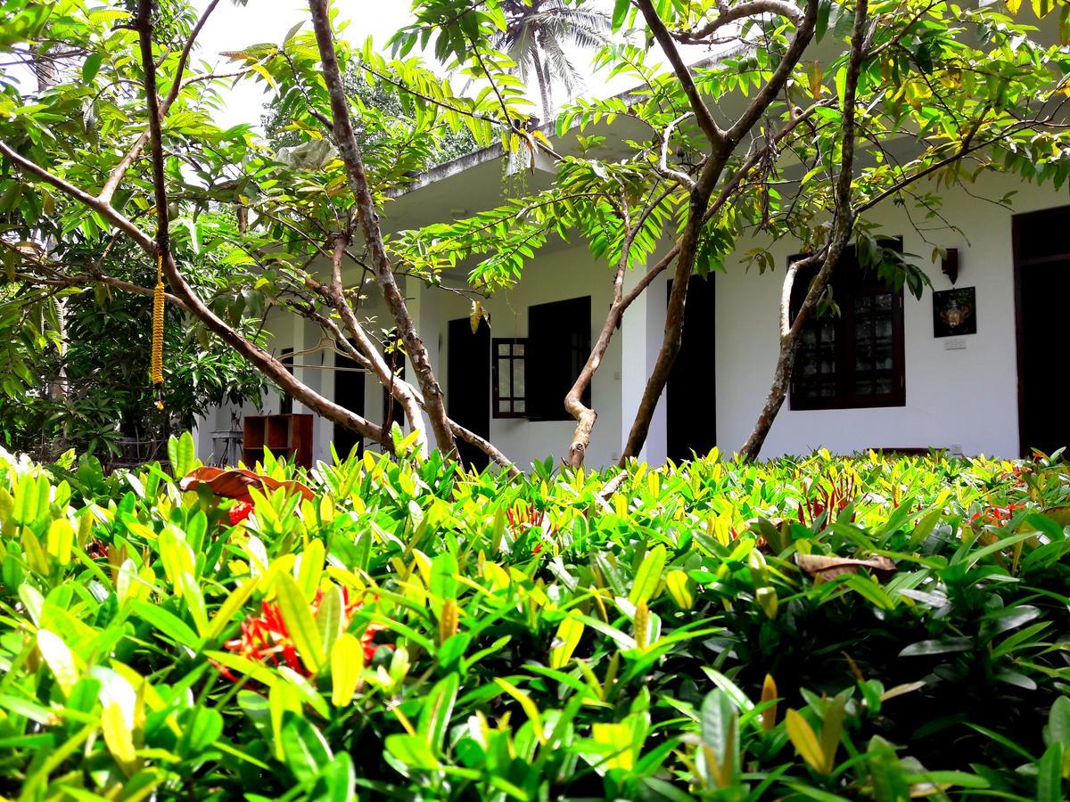 Coconut Grove - Midigama Midigama East Exterior foto