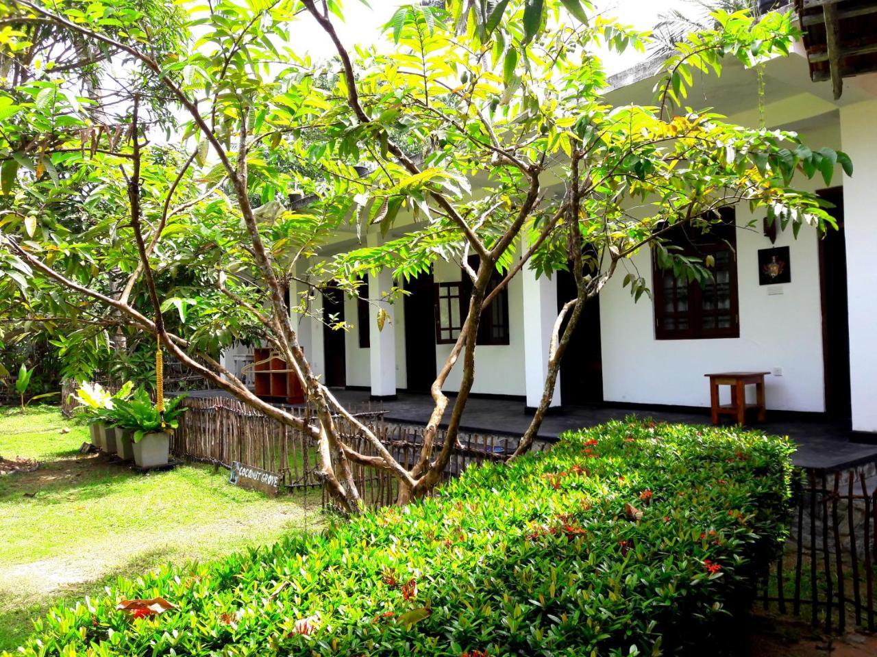 Coconut Grove - Midigama Midigama East Exterior foto